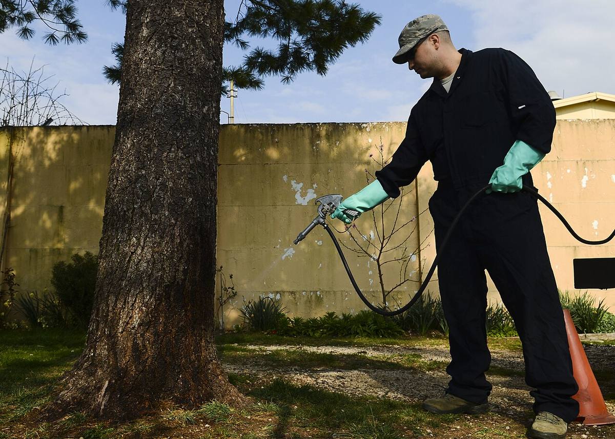 Technicien en extermination en intervention